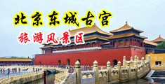 大鸡巴抽插美女视频导航中国北京-东城古宫旅游风景区